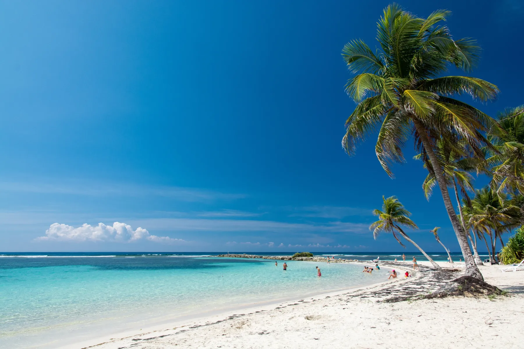 Sainte-Anne beach in Guadeloupe