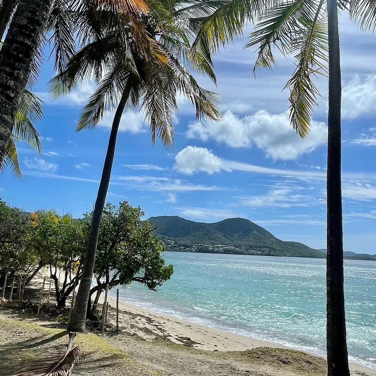 Sainte-Luce beach in Martinique